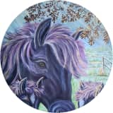 Mare's Morning Stars