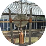 Doris's Wheel
