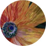 The Bloom