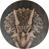 Beautiful Remains: An Ornament of Extinction 
