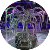 Heartwood Frost