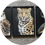 Endangered Species