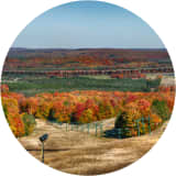 Two Peninsulas, One Autumn