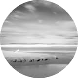 Lake Michigan Beachcombers