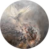 Dove's Awakening