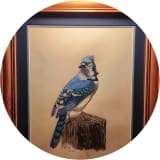 Blue Jay