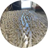 Million Birds of Hope 7