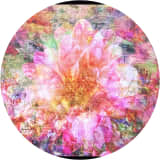 Dahlia Daze