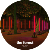 The Forest