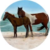 Animal triptych