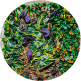 Underfoot 