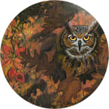 Owl in Oak