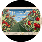 Apple Orchard Memories