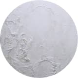 To Be In White
