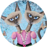 Minka's Wonderland of Oddities & Curiosities