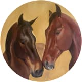Companions 