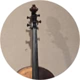 Lion Cello
