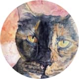 Therapeutic Cats