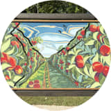 Apple Orchard Memories