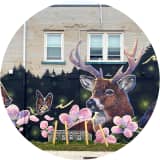 A Spring Visitor