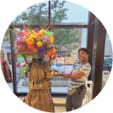 Live Tree of life