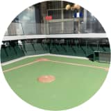  Green Cathedral: Gateway to the Major Leagues 