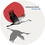 Anthropocene Mixtape: At the water's edge