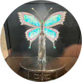Hope Butterfly 