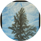 Lone Pine