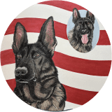 K9 ATOS