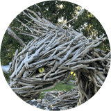 Driftwood Dragons