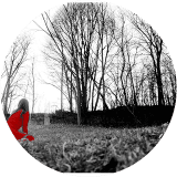 Red #11