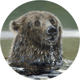 Bear Necessities