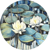 Diamond Lake Lilies