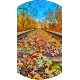 Vanishing Point