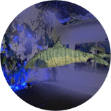 Our Exquisite Pollution Series: Under the Sea Installation