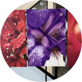 Triptych Friendly Flowers