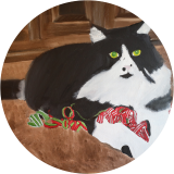 Ribbon Inspector