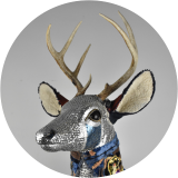 Tab Deer