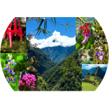 The Living Inca Trail