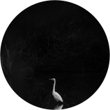 Reflected Patience