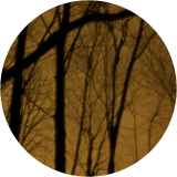 Gold Gloom