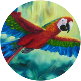 Flying Free