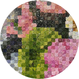 A Botanical Rendering 