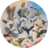 No Such Thing as Flightless Birds