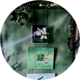 Insects of the World Canvas Collection
