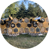 Bug Hotel