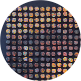 "Face Value"  - 1,600 Inclusions, $20 apiece