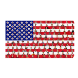 We the People