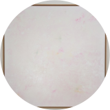 appleblossom